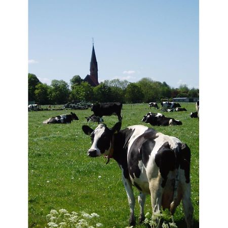 Ferienwohnung Pit Am Nordseedeich Butjadingen Eksteriør bilde