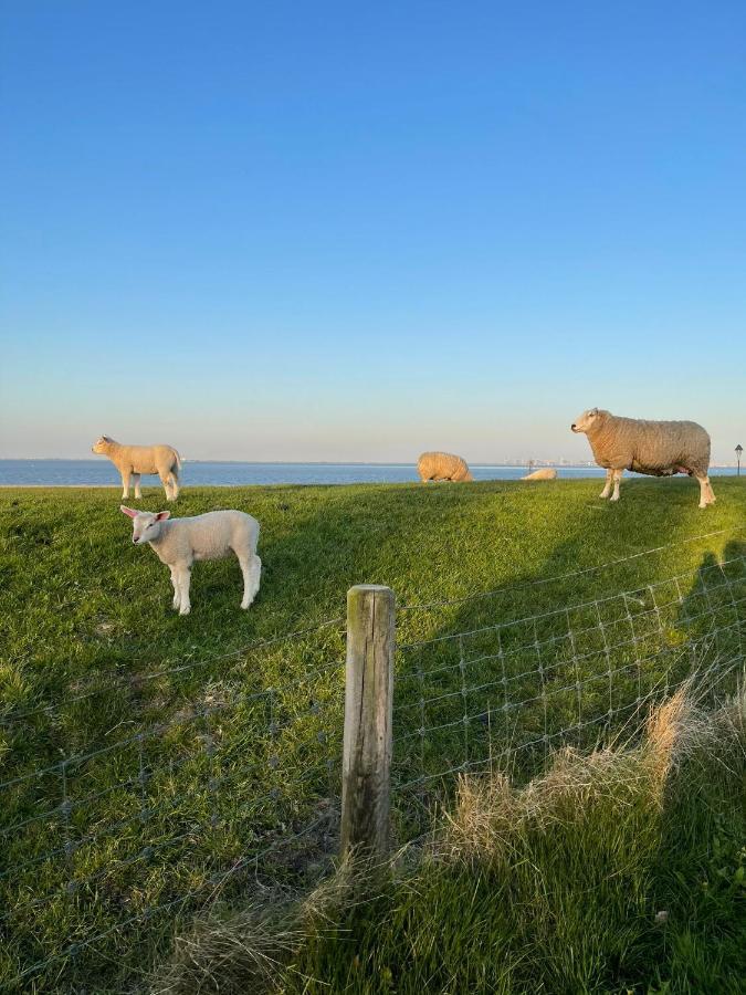 Ferienwohnung Pit Am Nordseedeich Butjadingen Eksteriør bilde
